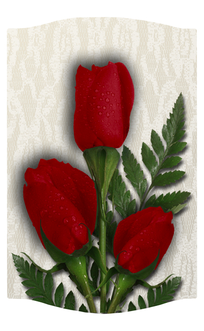 DNSLOG C 058 2 Roses Red 